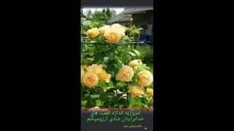 بی نظیر ترین صحنه