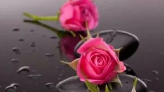 خدایا بابت همه چیز شکرت