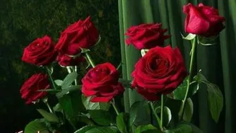 سخنان زیبای استاد عرشیانفر