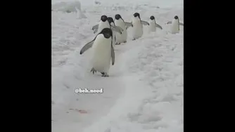 من الکلو جا نگذاشتم من..