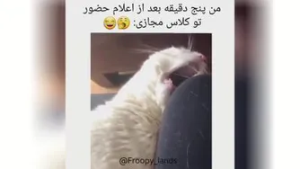 من تو کلاس مجازی😂