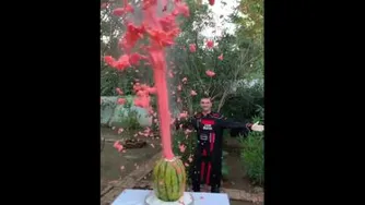 هندونه ازمایش