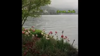 ماه شبگرد