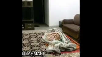 تنبیه جیرجیرک