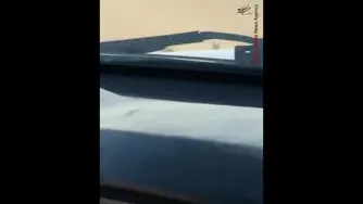 با طبیعت مهربان باشیم