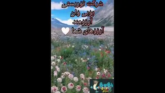 راهنمای سفر به وان ترکیه
