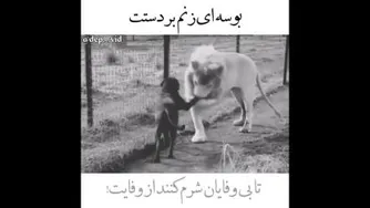 مرام