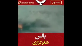 پالس شکر گزاری