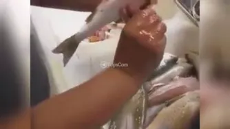 ی کوچولو خلاق باشیم ،نحوه سریع پاک کردن ماهی مجلسی😋😋