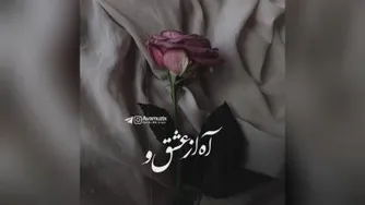 وابسته شدم از سالار عقیلی