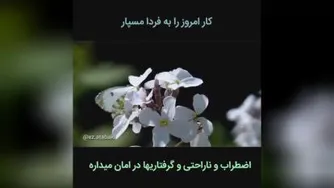 همین لحظه_دکتر هلاکویی