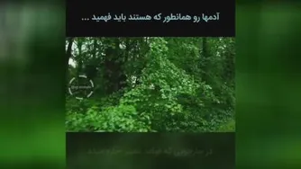 درک کردن_دکتر هلاکویی