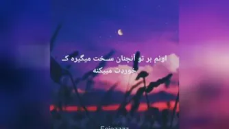 شکست_دکترهلاکویی