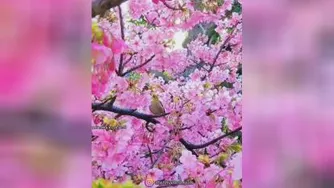 تحصیلات عامل ثروت_استادعباسمنش