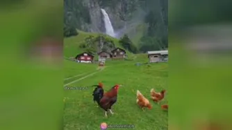 مدار جهان هستی
