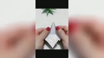 خلاقیت،ستاره زیبا کا کاغذ