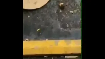 کیک عروسی