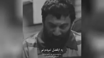 دیالوگ فیلم شنای پروانه