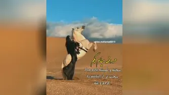 فوق العادست💝😍💓🧡💙🤍❤️💗💜💕💕🤎💛🥰😍💝🤩❣️🖤💓🧡