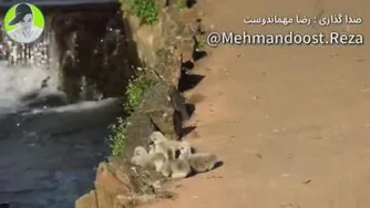 ننه میام نرمت میکنم 😂😂😂