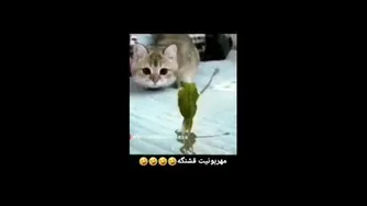 مهربونیت قشنگه 😂😂😂