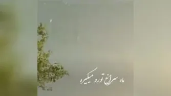سکانس لو رفته از الناز شاکردوست و هوتن شکیبا در فیلم ابلق