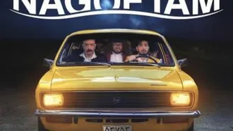 دانلود اهنگ جدید نگی که نگفتم از فرزاد فرزین