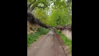 حال خوب قدم زدن تو این کوچه باغ ...