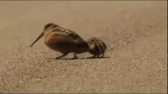 هزارماشالله😂😂