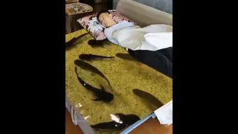 اینا چیه از خودتون درمیارید؟😐