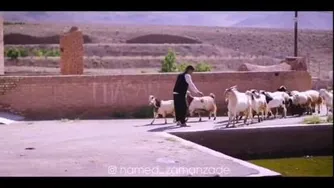 کلیپ طنز و موزیکال ننه😅😅😅