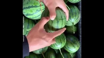 هندوانه انگشتی🙂👌