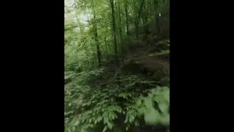 پرواز از نگاه یک پرنده👌👌