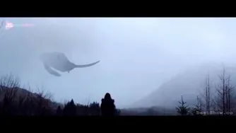 آرامشی محض و یک‌ موسیقی ‌ماورایی (Iday Whale)