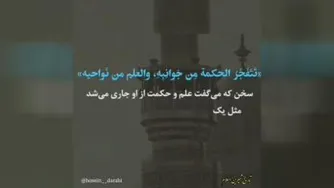 داستان عدی پسر حاتم طایی معروف که همراه مولا علی علیه السلام در جنگ صفین بود