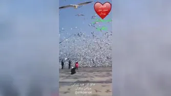 خالق این همه زیبایی ها کیست..خدایا به عظمت زیبایی هایت شکر