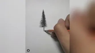 آموزش طراحی درخت کاج