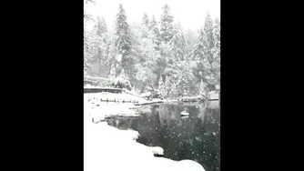 طبیعت زیبای الاسکا
