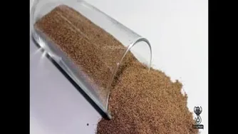 خاصیت هسته خرما