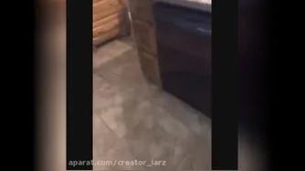 گربه ها