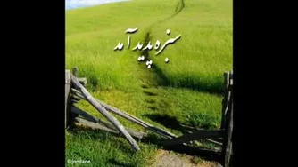 فال حافظ