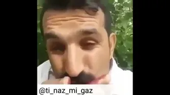 توت