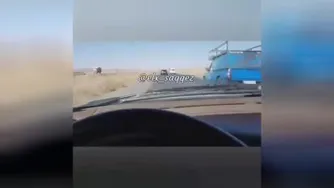 کل کل کردن با ELX