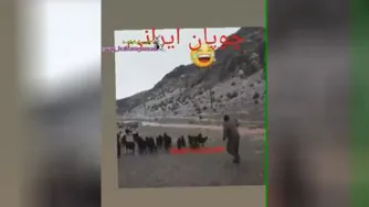 چوپانی🤣🤣🤣