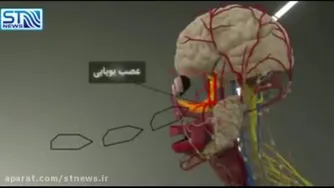کانالمو حمایت کنیید !