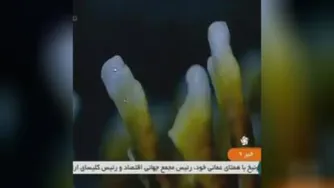 شبکه خبر درمورد قارچ گانودرما