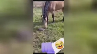 ال فرار...😬😬😬😬😬
