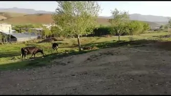 روستای فراموشجان
