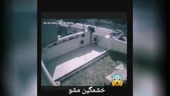 نتیجه عصبانیت