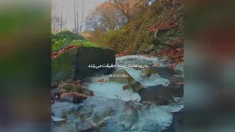 خدایا شکرت